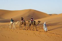 Circuit Désert 3 jours Fès - Merzouga - Marrakech
