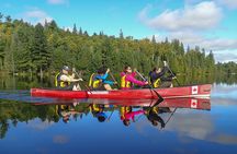 6 Hour Algonquin Park Canoe Trip