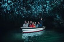 Premium Hobbiton & Waitomo Caves Small Group Tour from Auckland