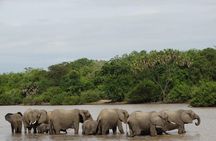 4 Days Safari to Nyerere NP (Selous GR) - Camping in the heart of the Park