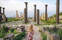 Half Day Private Tour From Amman To Jerash