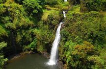 Road to Hana, Black Sand Beach, Waterfalls & Turtles Tour