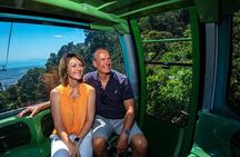 Skyrail Rainforest Cableway Day Trip from Palm Cove