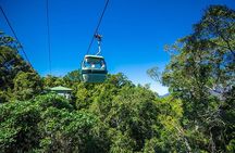 Skyrail Rainforest Cableway Day Trip from Cairns