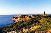 3-Hour Martha's Vineyard Island Tour from Oak Bluffs