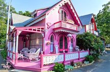 3-Hour Martha's Vineyard Island Tour from Oak Bluffs