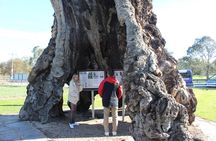 Barossa and Hahndorf Day Trip from Adelaide Including Wine Tasting and Lunch