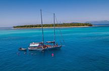 Ocean Free 25 guest Great Barrier Reef & visit Green Island Tour