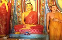 Negombo Day Tour
