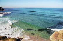 Bondi Beach and Beyond private tour