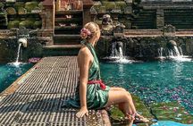 Tanah Lot Temple, Waterfall & Ubud Tour (Private & All-Inclusive)