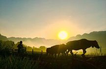 2-day Mai Chau and Pu Luong with round trip transfer from Hanoi