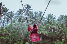 Ubud and Tanah Lot Temple Small Group Sunset Tour 