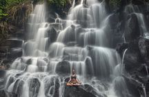 Ubud and Tanah Lot Temple Small Group Sunset Tour 
