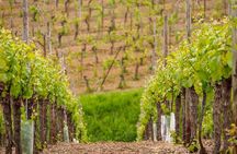 Alsace Wine Route Wineries & Tasting Small Group Guided Tour from Strasbourg