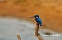 Wilpattu Safari tour from Negombo