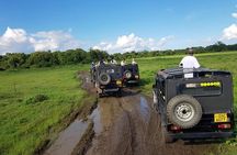 Wilpattu Safari tour from Negombo
