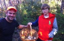 Mushroom hunting in Provence