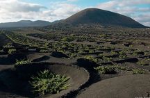 Lanzarote Island Tour (Full-day)