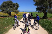 Private Bike Tour with Olive Oil Tasting
