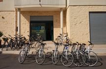 Private Bike Tour with Olive Oil Tasting