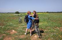 Private Bike Tour with Olive Oil Tasting
