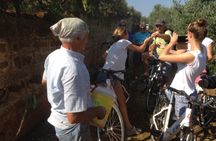 Private Bike Tour with Olive Oil Tasting