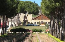Lebanon Wine Tasting Tour From Beirut