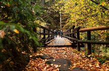 Best Reviews: Saxon and Bohemian Switzerland Day Trip from Prague
