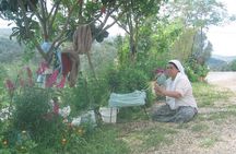 Private Bodrum Village Tour + 1 Glass Free Local Wine