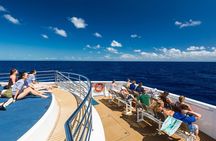 Great Barrier Reef Snorkeling and Diving Cruise from Cairns