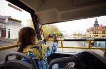 City Sightseeing Reykjavik Hop-On Hop-Off Bus Tour: 24 or 48-Hour