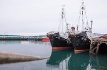 City Sightseeing Reykjavik Hop-On Hop-Off Bus Tour: 24 or 48-Hour