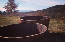 Grape Stomping in Provence