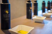 Wine, Honey & Olive Oil of Solta Island - Tasting Tour