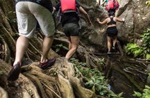 Hike El Yunque Rainforest and Kayak Bio Bay Combo Tour