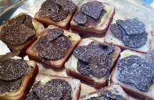 Truffle Hunting in Provence