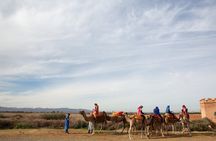Atlas Mountains and 3 Valleys & Waterfalls - Camel Ride Marrakech