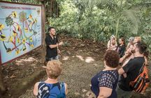 Chocolate Tour & Baldi Hot Springs. Private Tour from San Jose