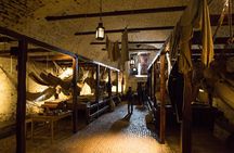 Edinburgh Castle Guided Walking Tour with Expert Local Guide