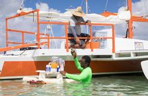 Small-Group Cruising and Snorkeling Catamaran Tour