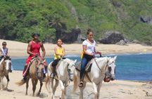 Horseback Riding through Secluded Beaches and Tropical Forests
