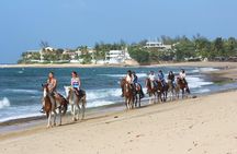 Horseback Riding through Secluded Beaches and Tropical Forests