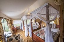 8 Days Tanzania Adventure Tented Camps Safari