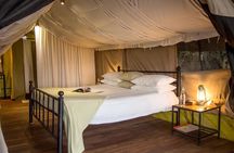 8 Days Tanzania Adventure Tented Camps Safari