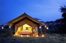 8 Days Tanzania Adventure Tented Camps Safari