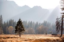 Yosemite and Giant Sequoias Day Tour from San Francisco w Pickup