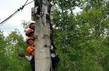 Denali Zipline Tour in Talkeetna, AK