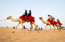Dubai Combo:City Tour and Premium Desert Safari with all Activities 