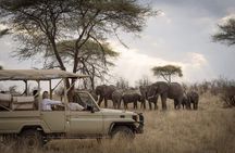 5 Days Safari In Serengeti And Ngorongoro